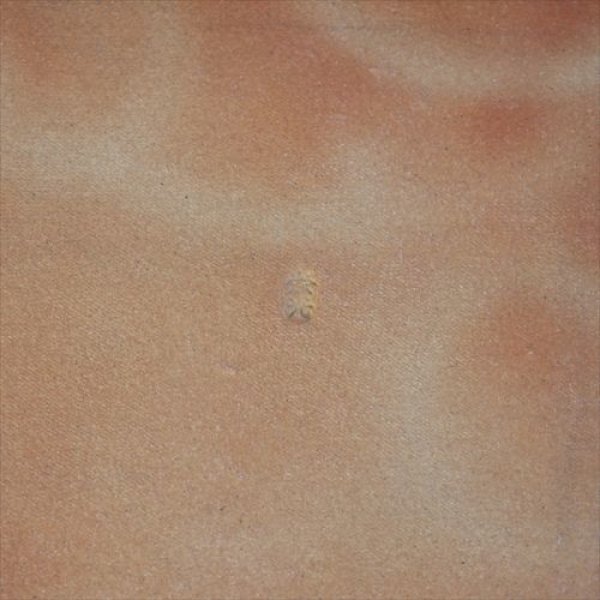 画像8: 萩焼/松光山栄光/青萩釉/しのぎ角鉢/24x24 X H4.5 (8)