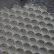 画像9: HAJIYOSHIDA/蜂の巣白皿（中）/2色/Φ15　厚み2cm (9)