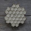 画像19: HAJIYOSHIDA/蜂の巣白皿（小）/2色/Φ11　厚み2.0cm (19)