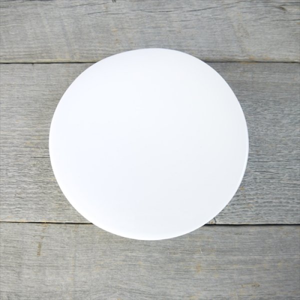 画像6: 多治見/山田晋一朗/スイーツプレート//Φ16 X H2.8 (6)