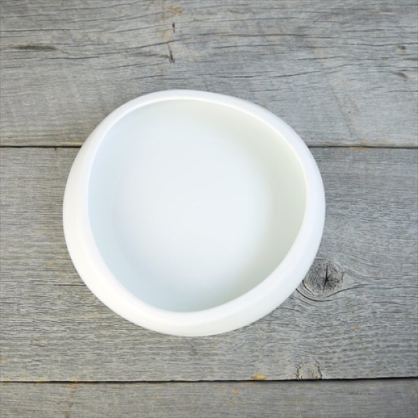 画像8: 多治見/山田晋一朗/スイーツプレート//Φ16 X H2.8 (8)