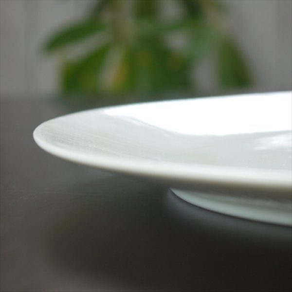 画像6: 瀬戸焼/エムエムヨシハシ/HORITSUKE十草丸皿/8寸/ (6)