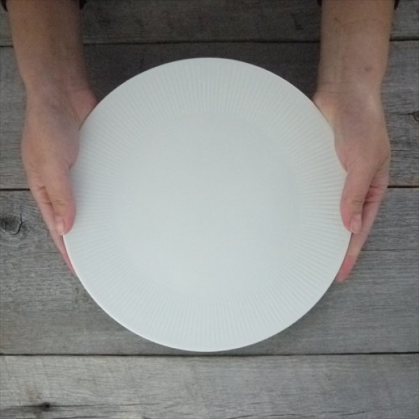 画像4: 瀬戸焼/エムエムヨシハシ/HORITSUKE十草丸皿/8寸/ (4)