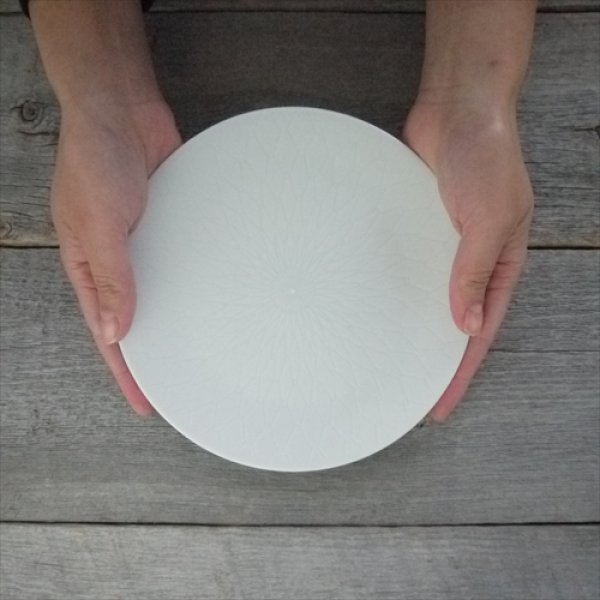 画像4: 瀬戸焼/エムエムヨシハシ/HORITSUKE網丸皿/6寸/ (4)