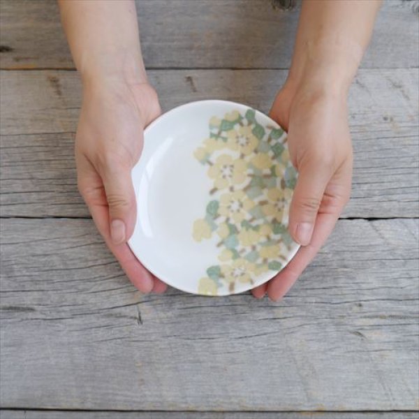 画像9: 有田焼/艸窯（そうがま）/彩磁練上 中皿 爽花 /Φ14 X H2 (9)