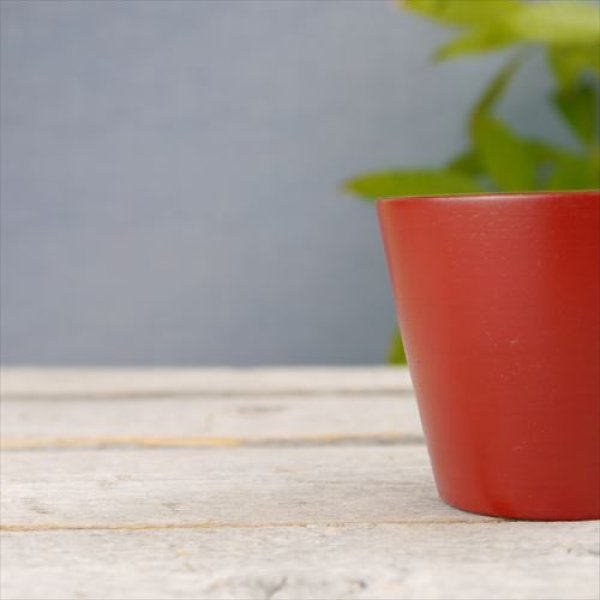 画像5: 香川/87.5/川口屋漆器店/フリーカップ/【9色】/Φ8 X H7 (5)